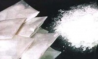 Сотрудники ДПС Воронежской области «собрали урожай» наркотиков