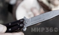  Житель Аннинского района заступился за хозяйку дома и погиб от руки ее мужа