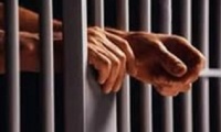 За полгода на свободе житель Воронежской области совершил пять  преступлений