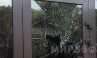 На порчу чужого имущества жителя Борисоглебска толкала зависть