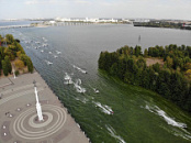 Воронежское водохранилище — жемчужина среднерусской природы